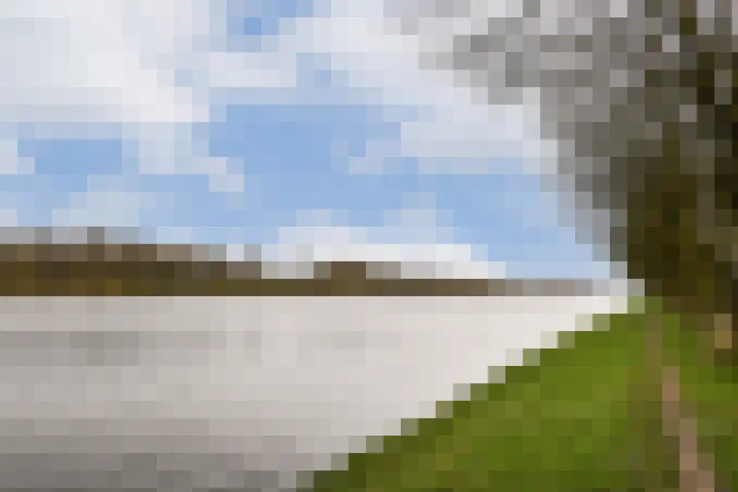 Meerkoet 48 Diemen thumbnail 28