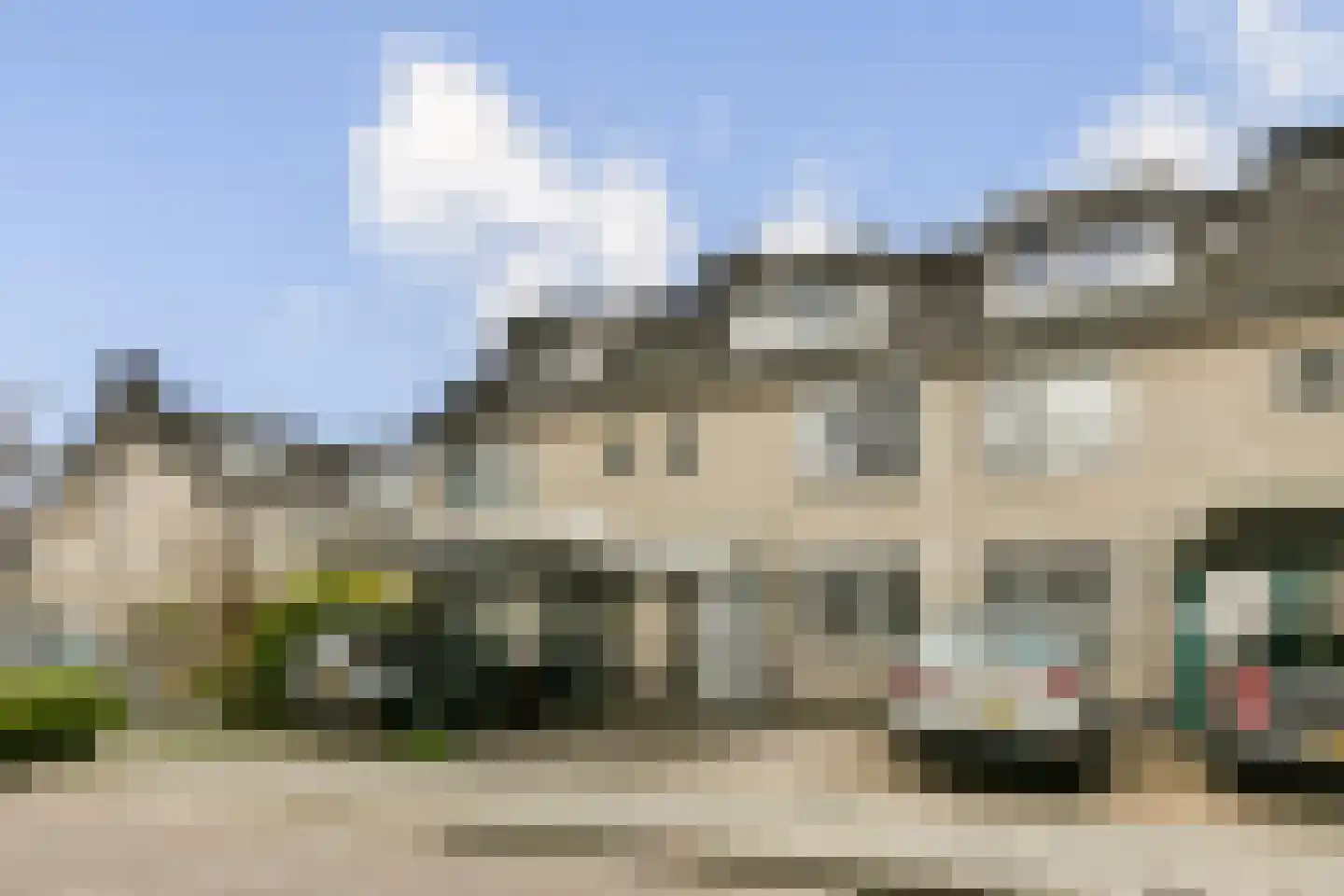 Meerkoet 48 Diemen thumbnail 30