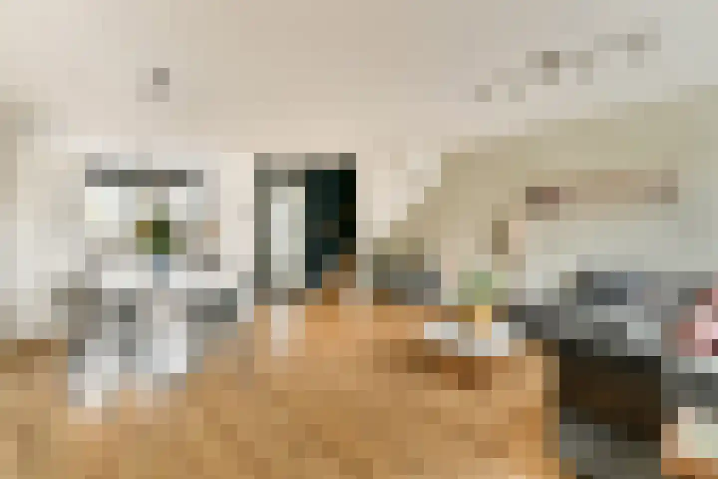 Meerkoet 48 Diemen thumbnail 4