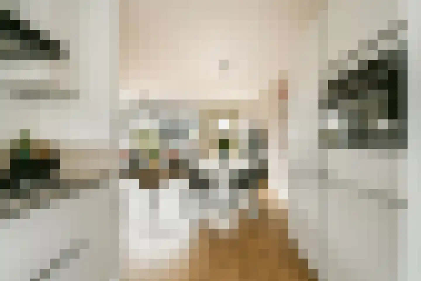 Meerkoet 48 Diemen thumbnail 7
