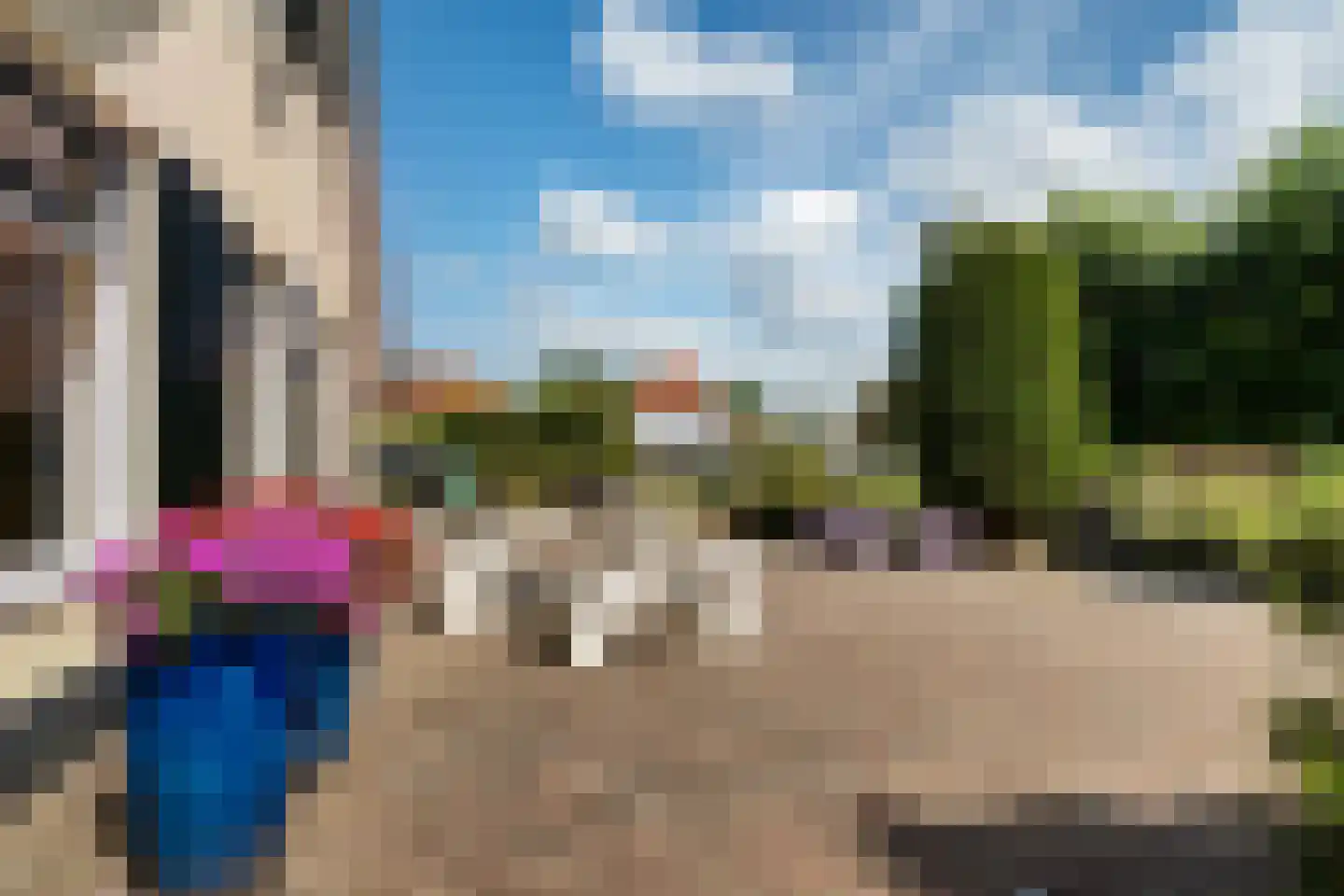 Meerkoet 48 Lathum thumbnail 34