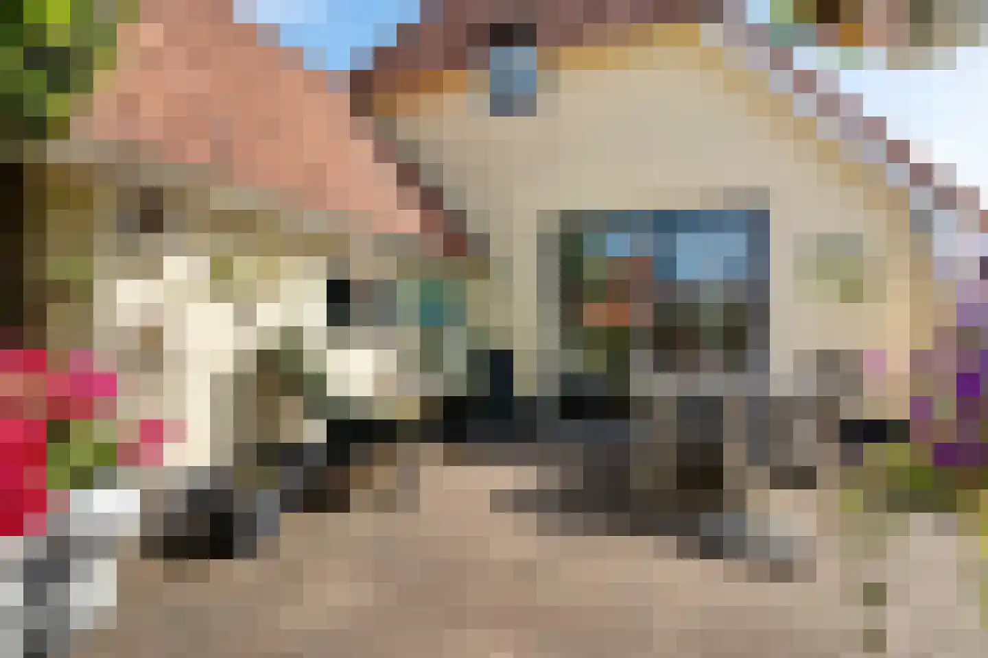 Meerkoet 48 Lathum thumbnail 36