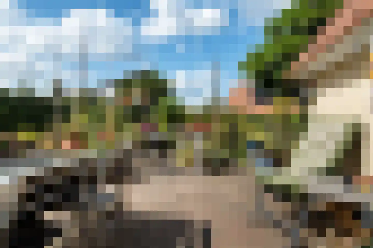 Meerkoet 48 Lathum thumbnail 37