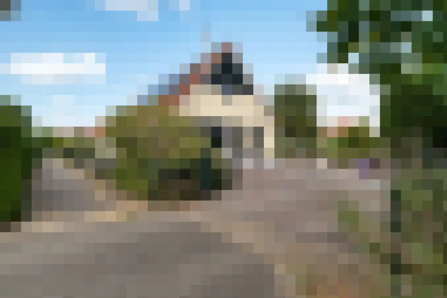 Meerkoet 48 Lathum thumbnail 4