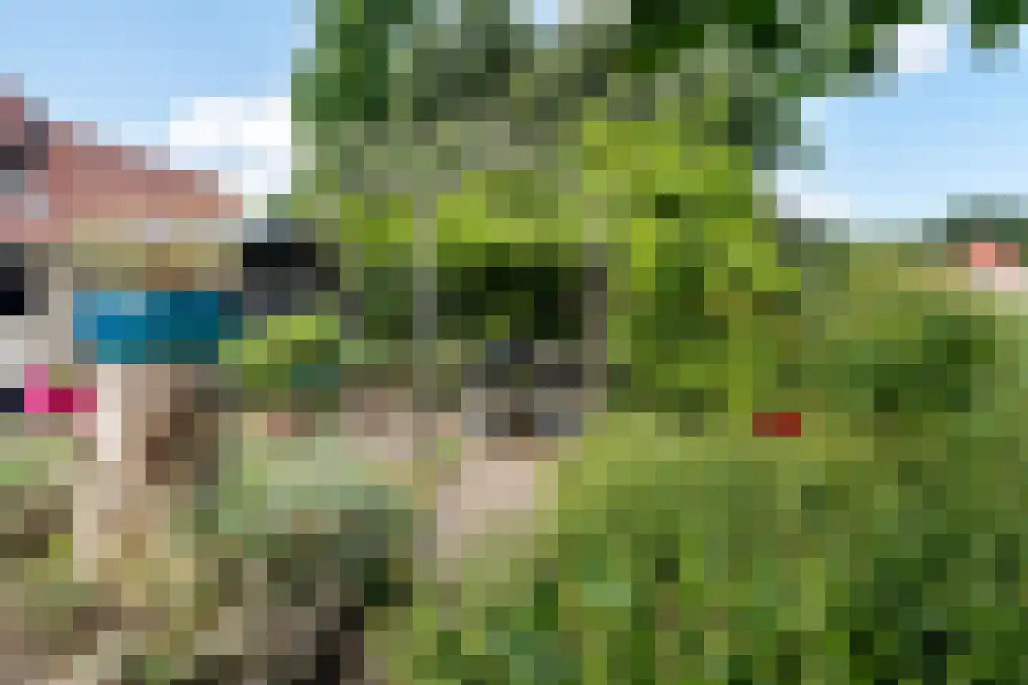 Meerkoet 48 Lathum thumbnail 40