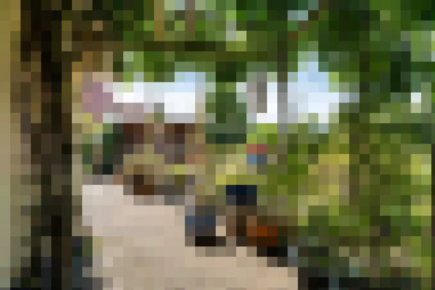 Meerkoet 48 Lathum thumbnail 42