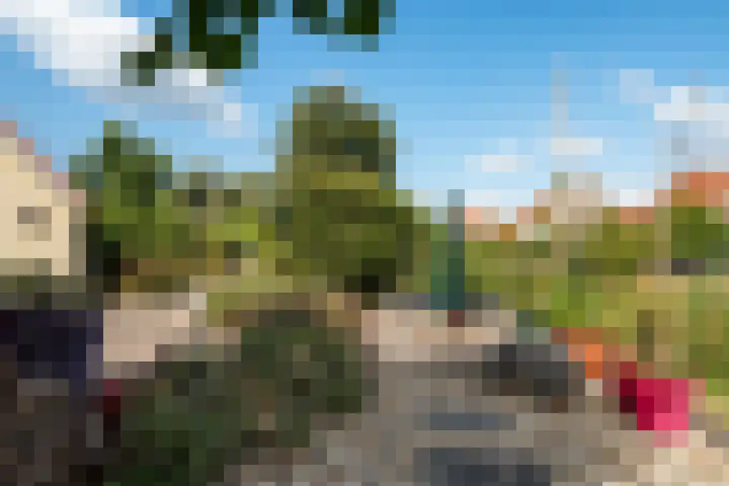 Meerkoet 48 Lathum thumbnail 43