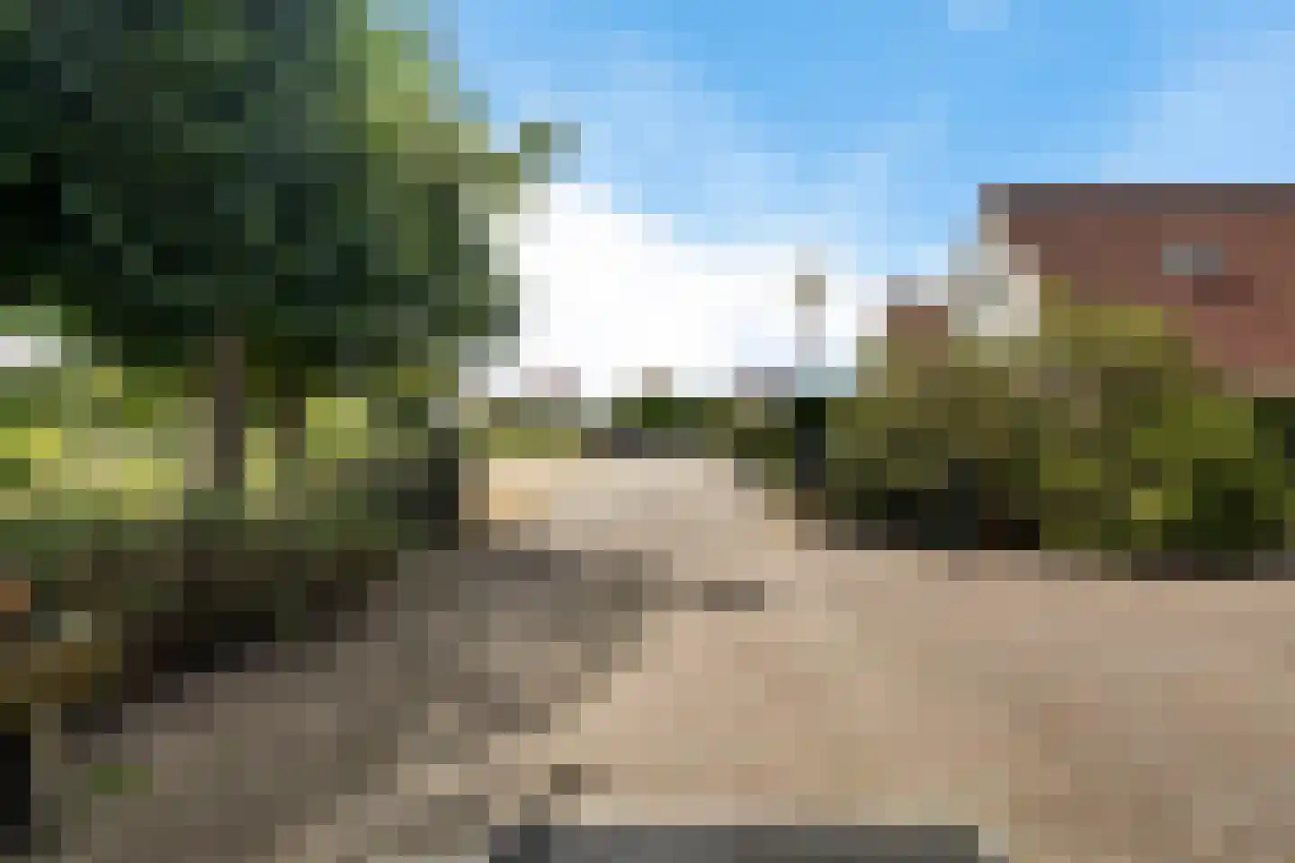 Meerkoet 48 Lathum thumbnail 46