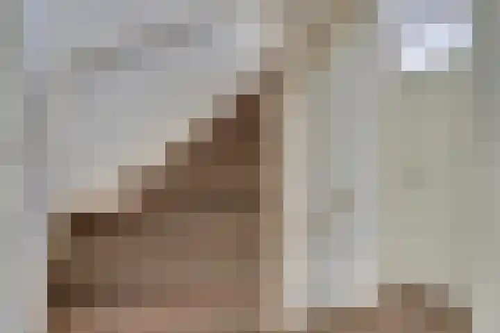 Meerkoet 5 De Lier thumbnail 13