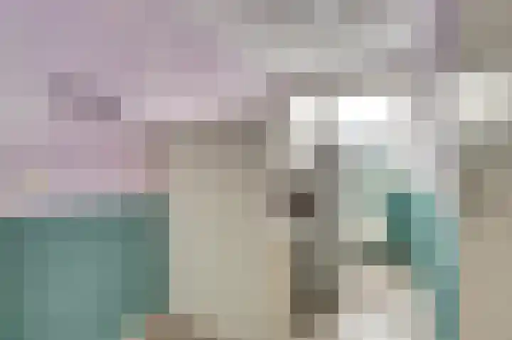 Meerkoet 5 De Lier thumbnail 18