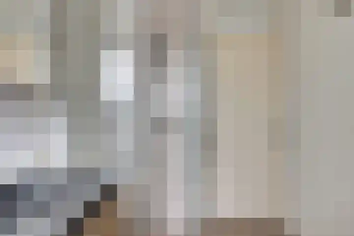 Meerkoet 5 De Lier thumbnail 20