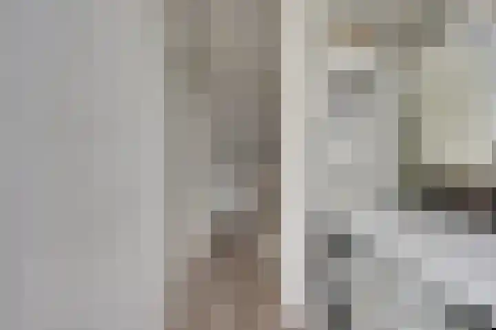 Meerkoet 5 De Lier thumbnail 22