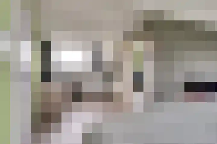 Meerkoet 5 De Lier thumbnail 23