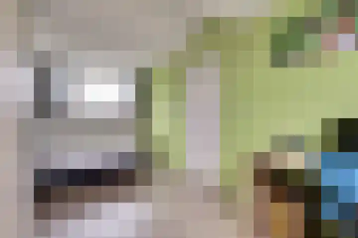 Meerkoet 5 De Lier thumbnail 24