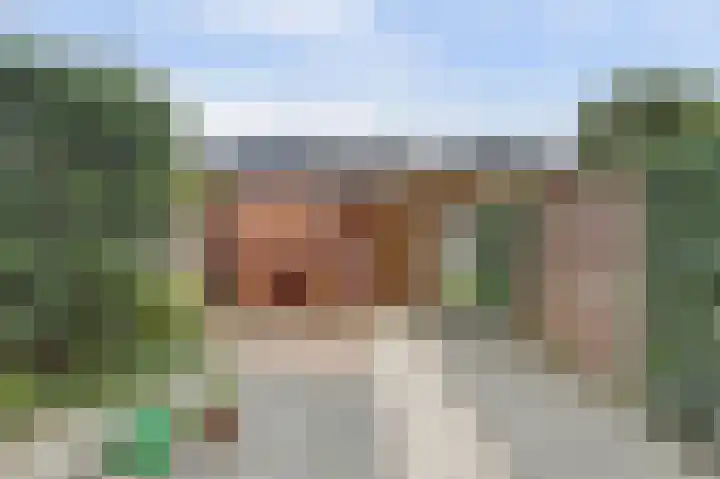 Meerkoet 5 De Lier thumbnail 25