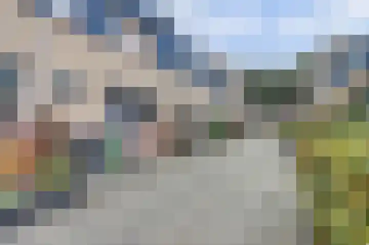Meerkoet 5 De Lier thumbnail 26