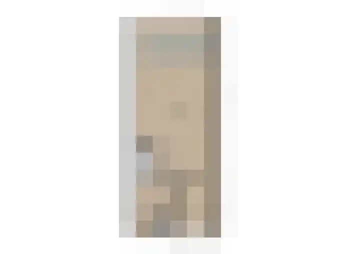 Meerkoet 5 De Lier thumbnail 28