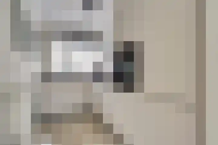 Meerkoet 5 De Lier thumbnail 5