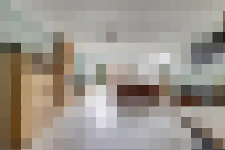 Meerkoet 5 De Lier thumbnail 7