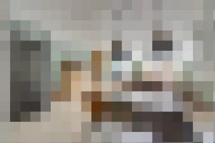 Meerkoet 5 De Lier thumbnail 8