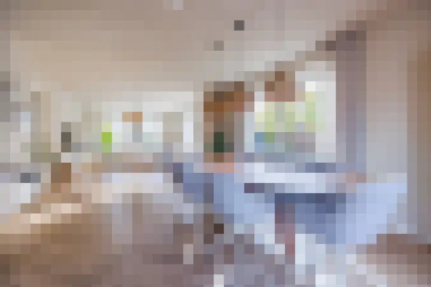Meerkoet 5 Terneuzen thumbnail 11
