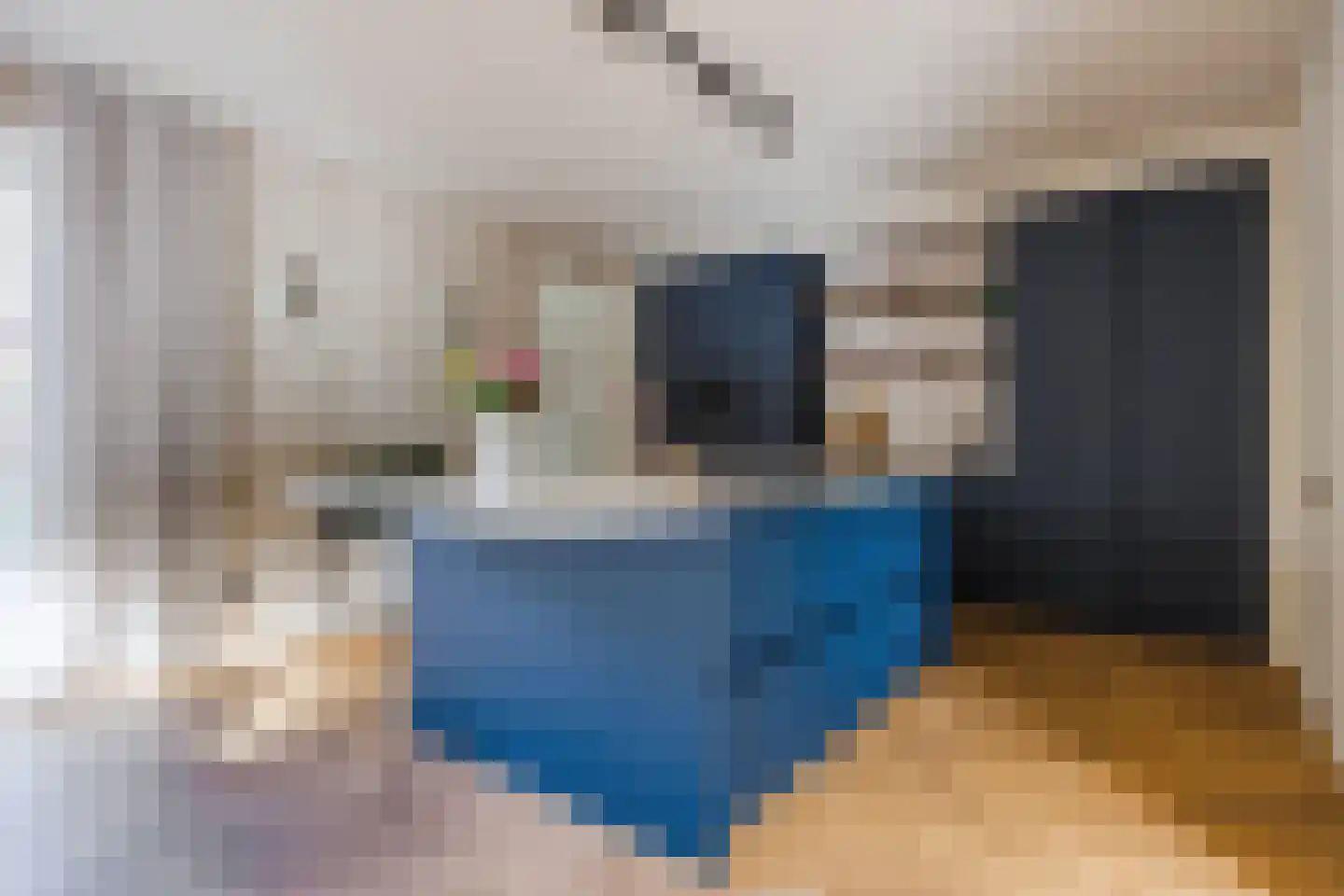 Meerkoet 5 Terneuzen thumbnail 13
