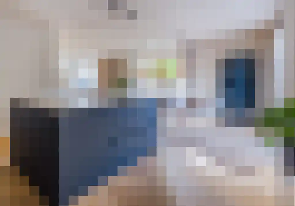 Meerkoet 5 Terneuzen thumbnail 15