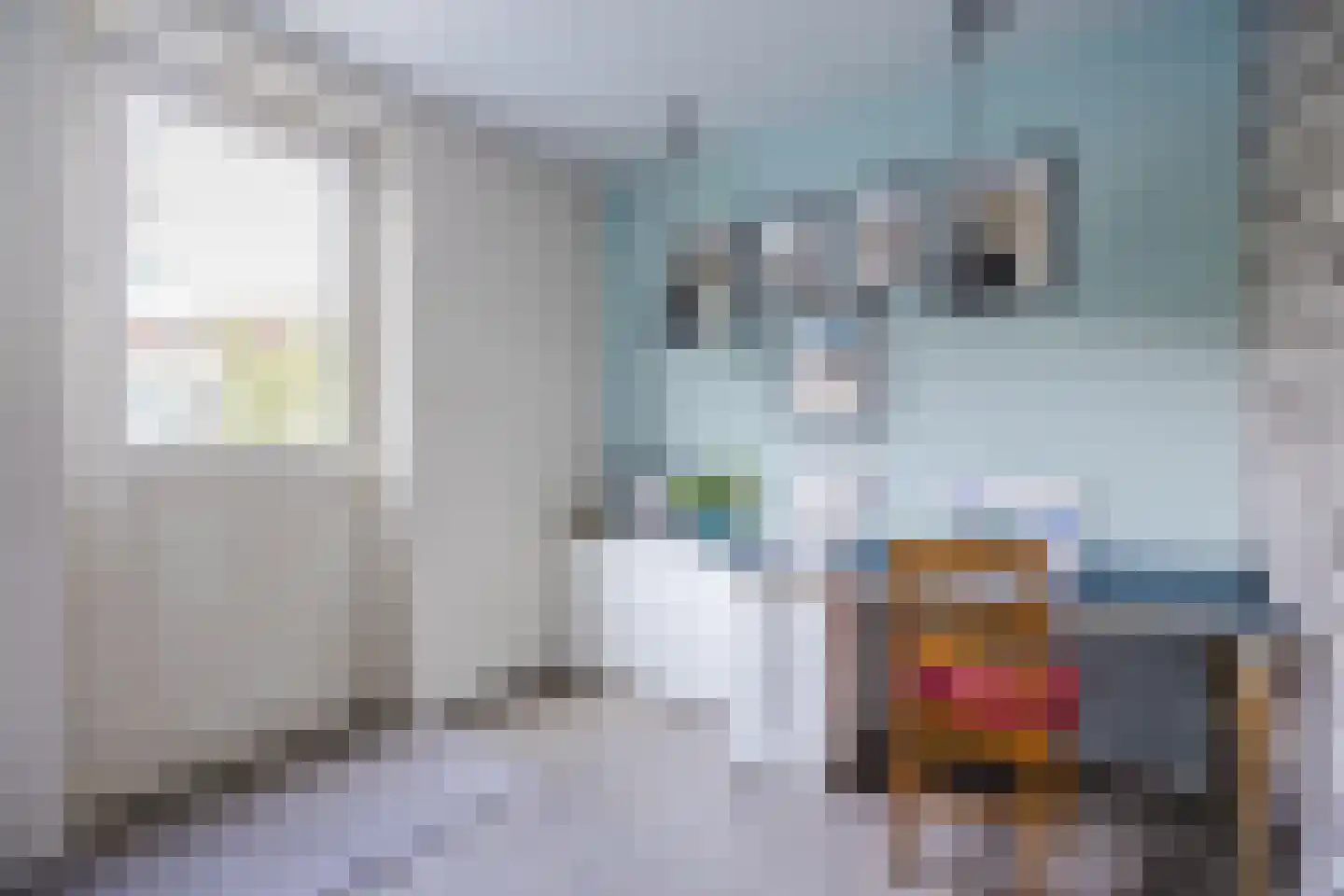 Meerkoet 5 Terneuzen thumbnail 18