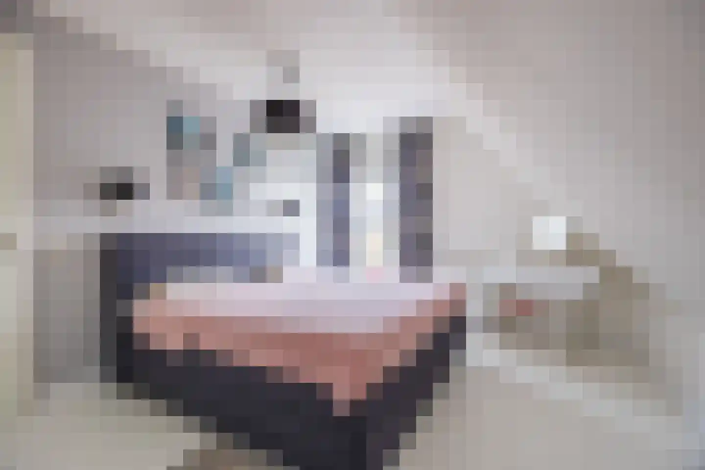 Meerkoet 5 Terneuzen thumbnail 21