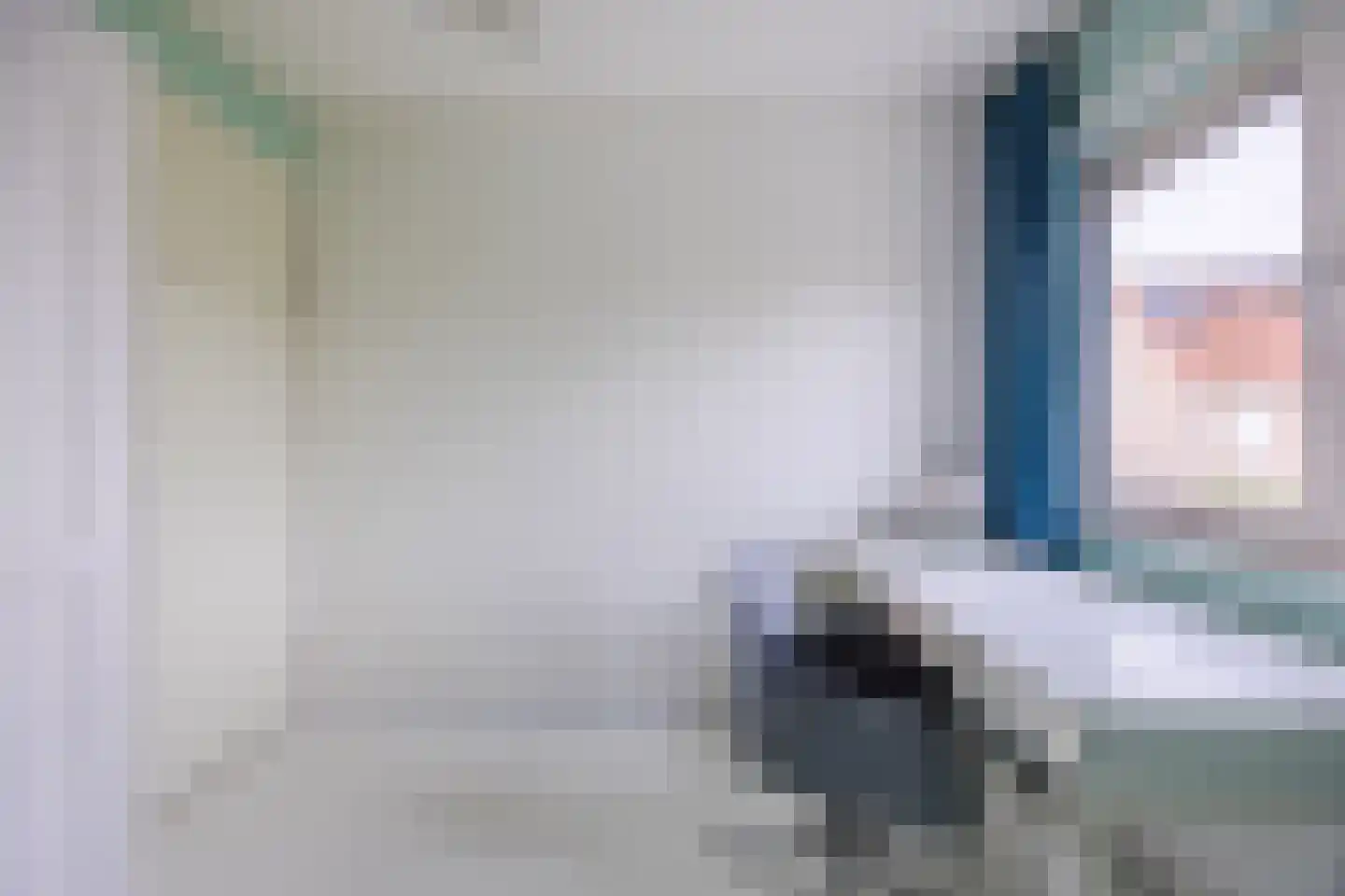 Meerkoet 5 Terneuzen thumbnail 28