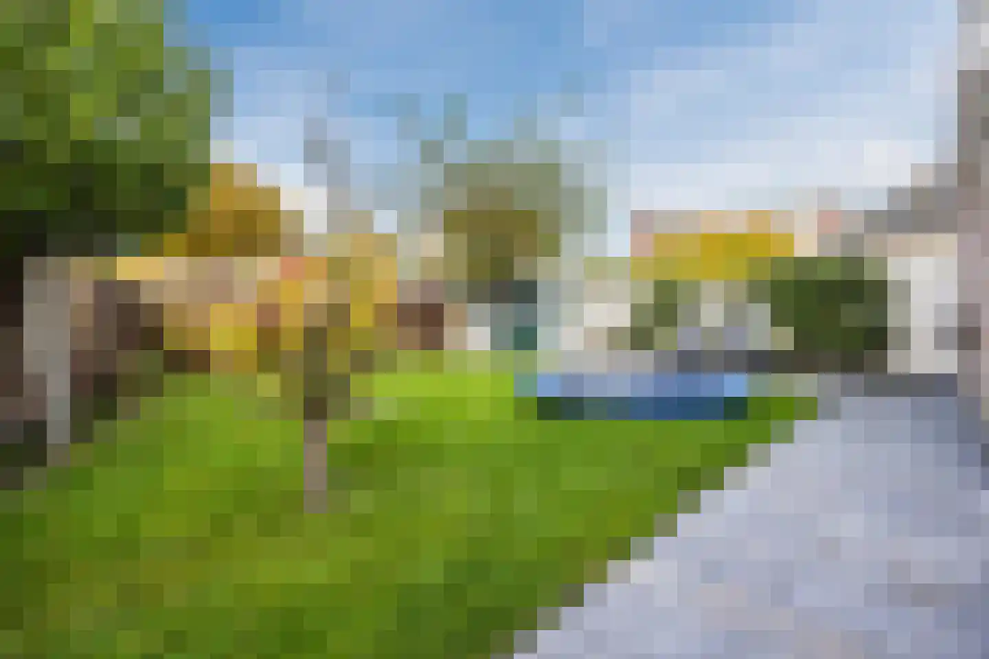 Meerkoet 5 Terneuzen thumbnail 34
