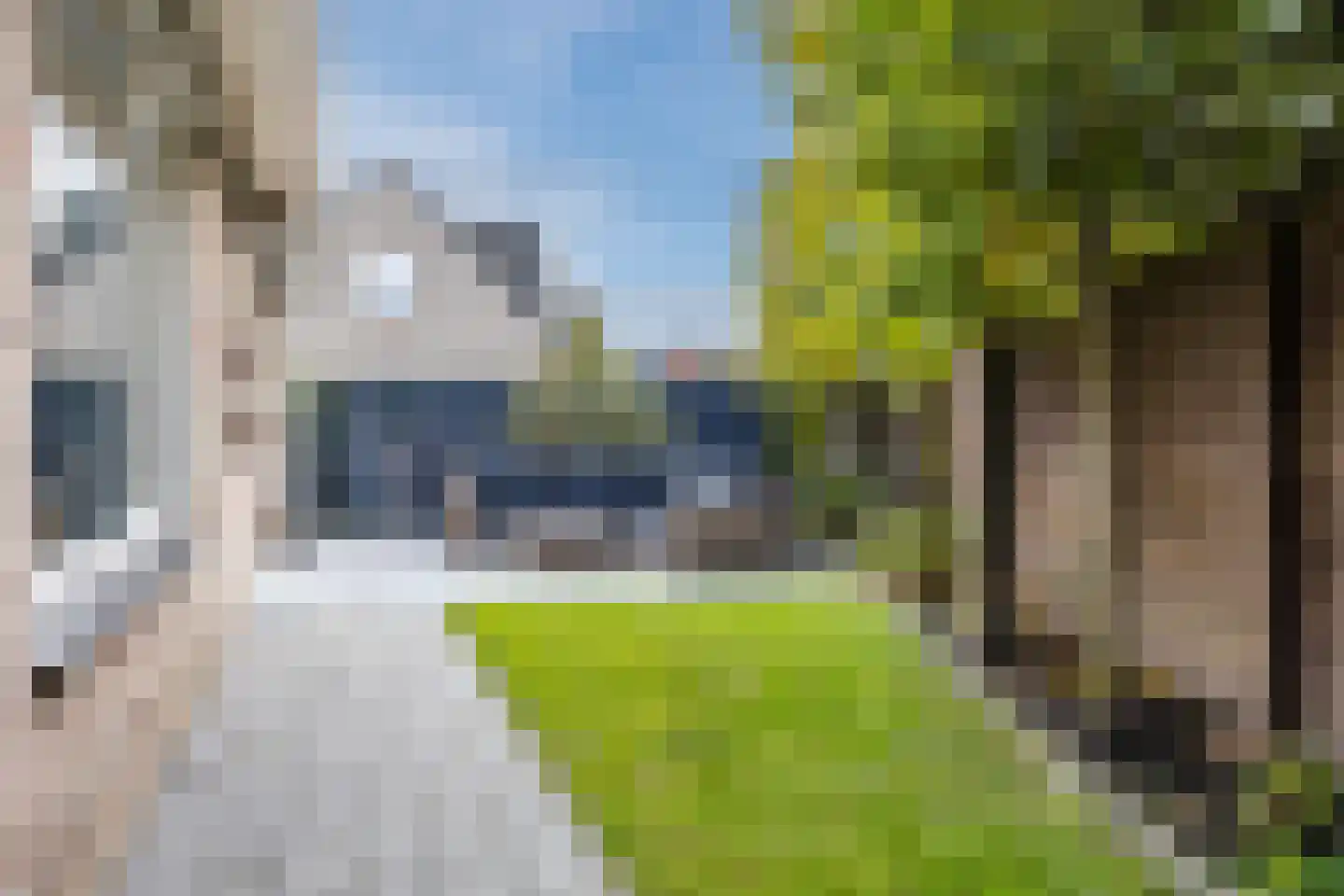 Meerkoet 5 Terneuzen thumbnail 35
