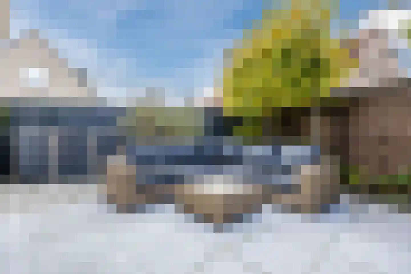 Meerkoet 5 Terneuzen thumbnail 36