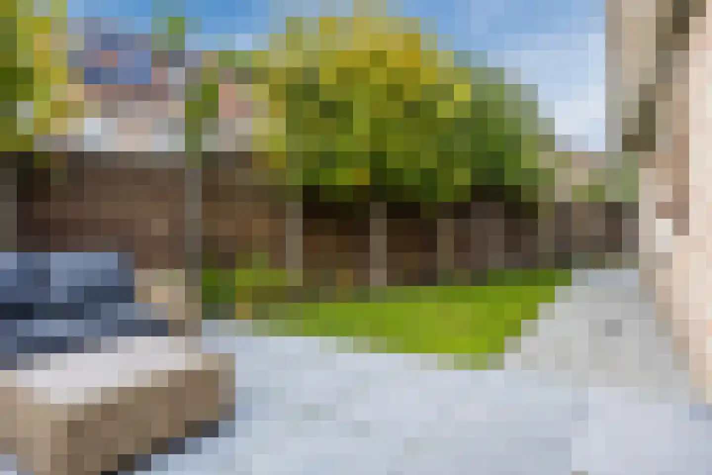 Meerkoet 5 Terneuzen thumbnail 37