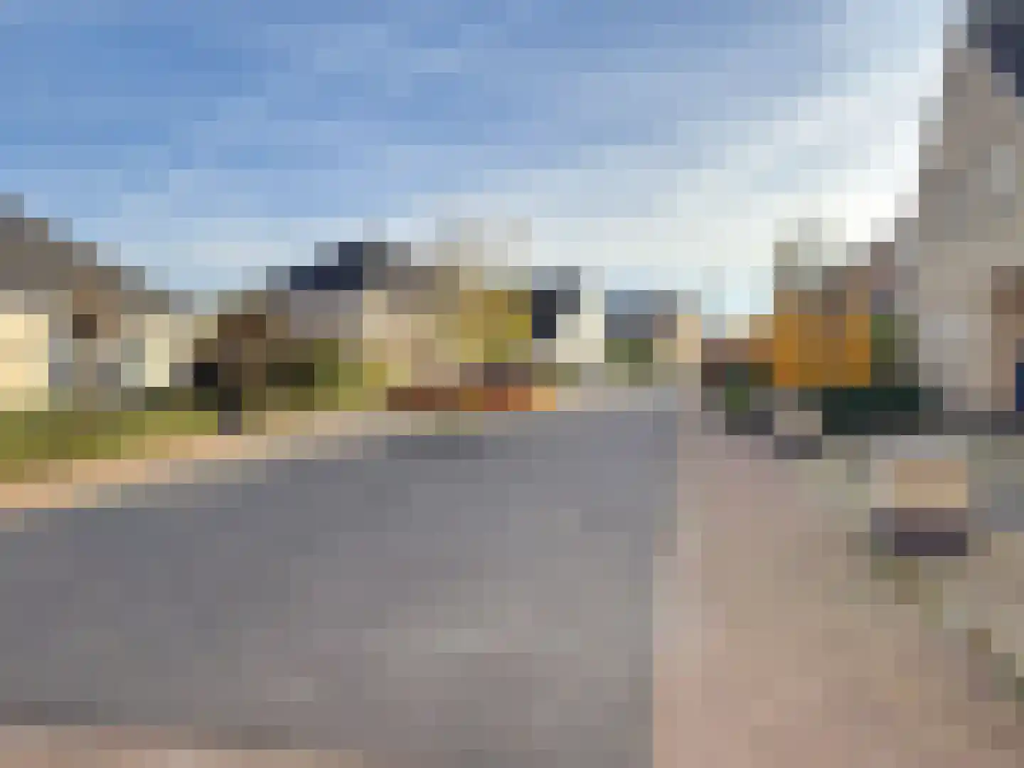 Meerkoet 5 Terneuzen thumbnail 39