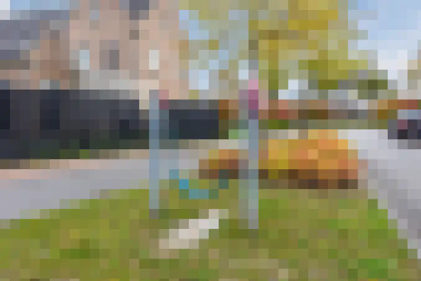 Meerkoet 5 Terneuzen thumbnail 40