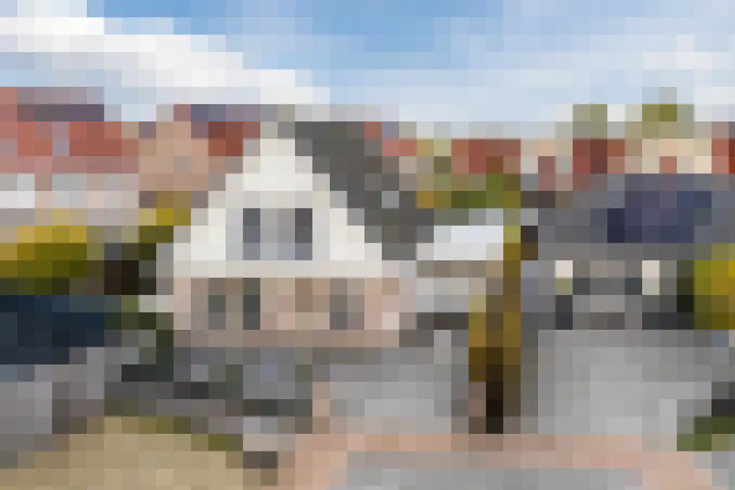 Meerkoet 5 Terneuzen thumbnail 41