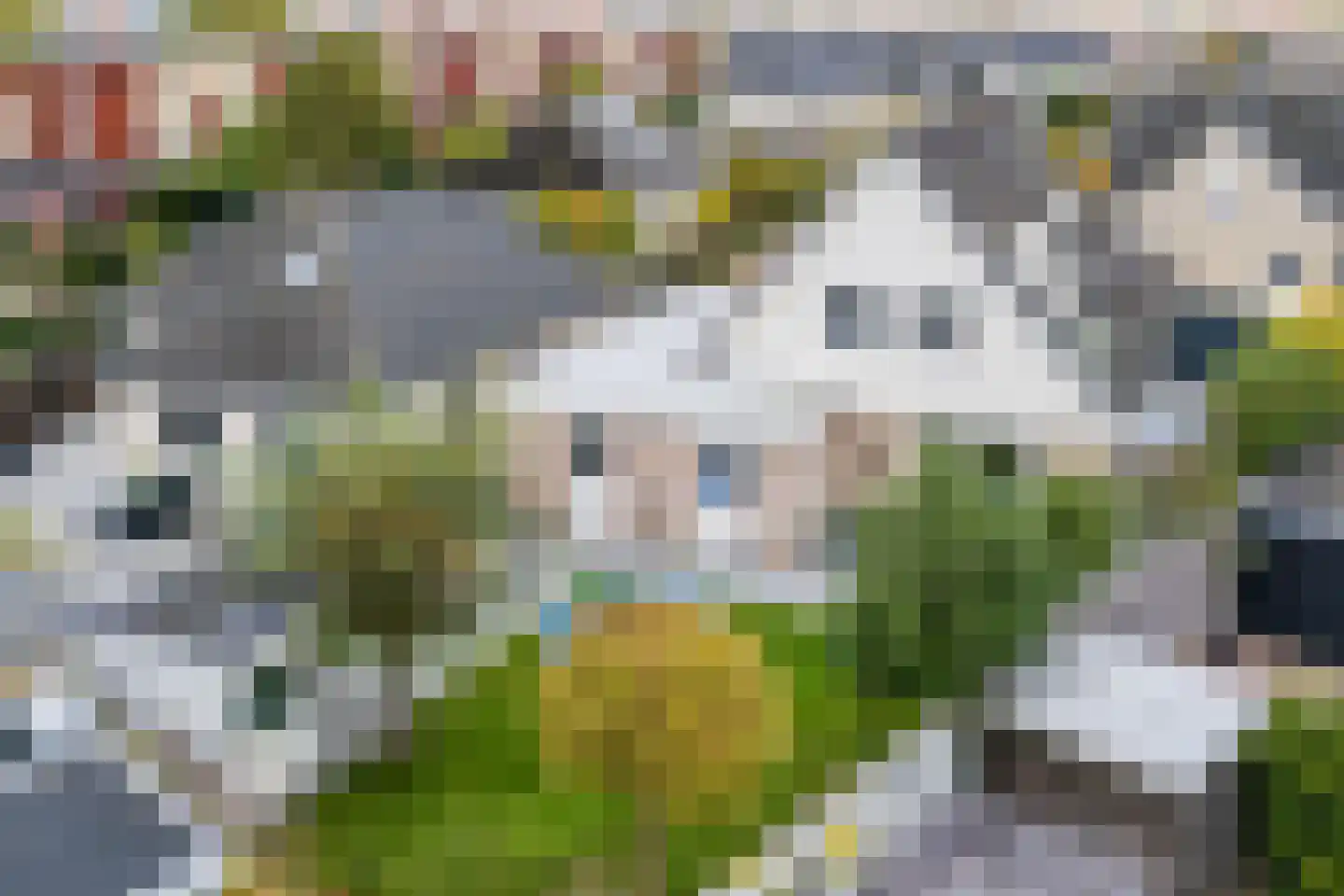 Meerkoet 5 Terneuzen thumbnail 42