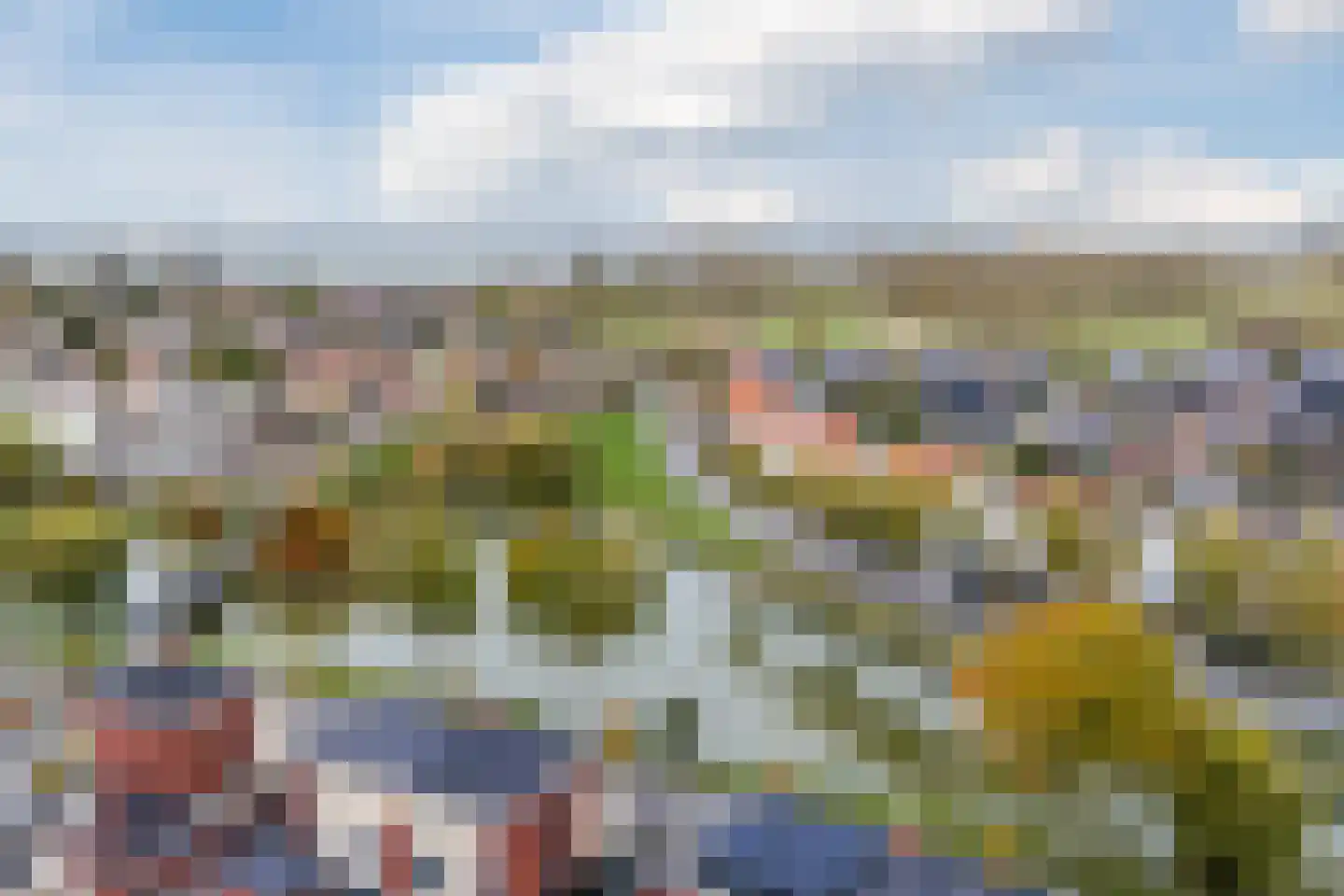 Meerkoet 5 Terneuzen thumbnail 43