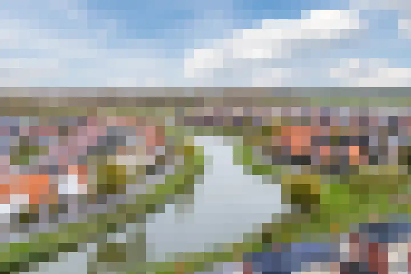 Meerkoet 5 Terneuzen thumbnail 44