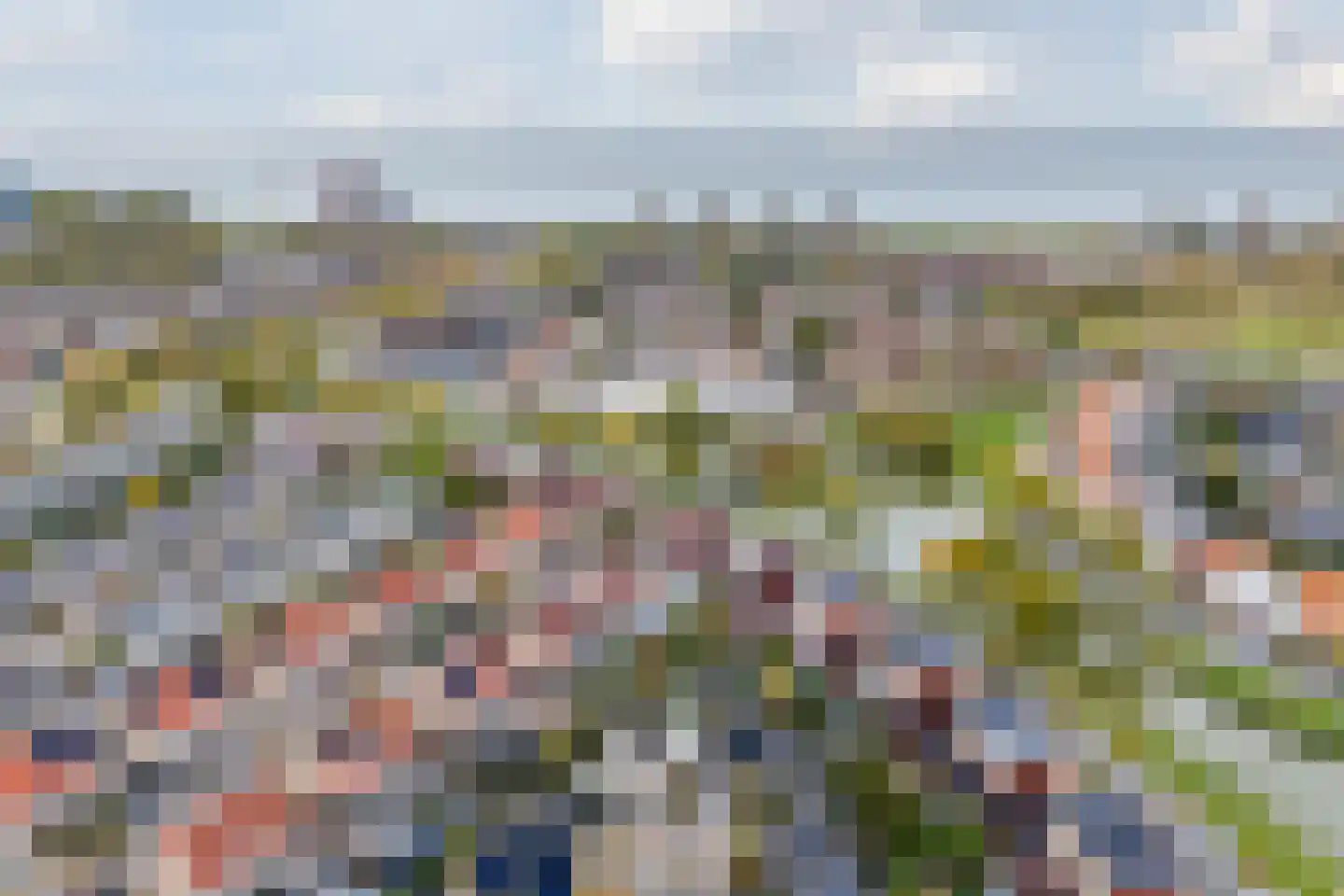 Meerkoet 5 Terneuzen thumbnail 45