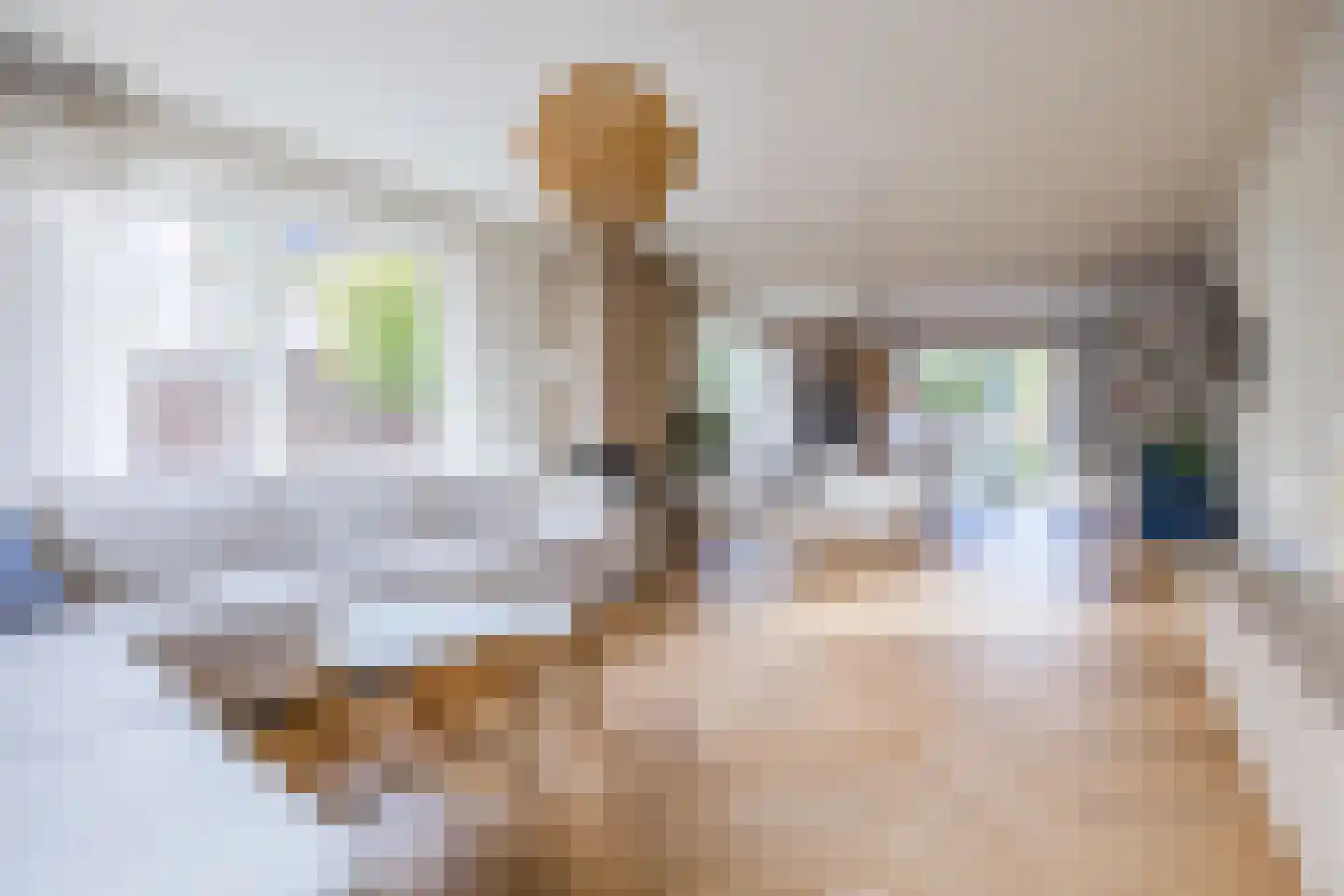 Meerkoet 5 Terneuzen thumbnail 9