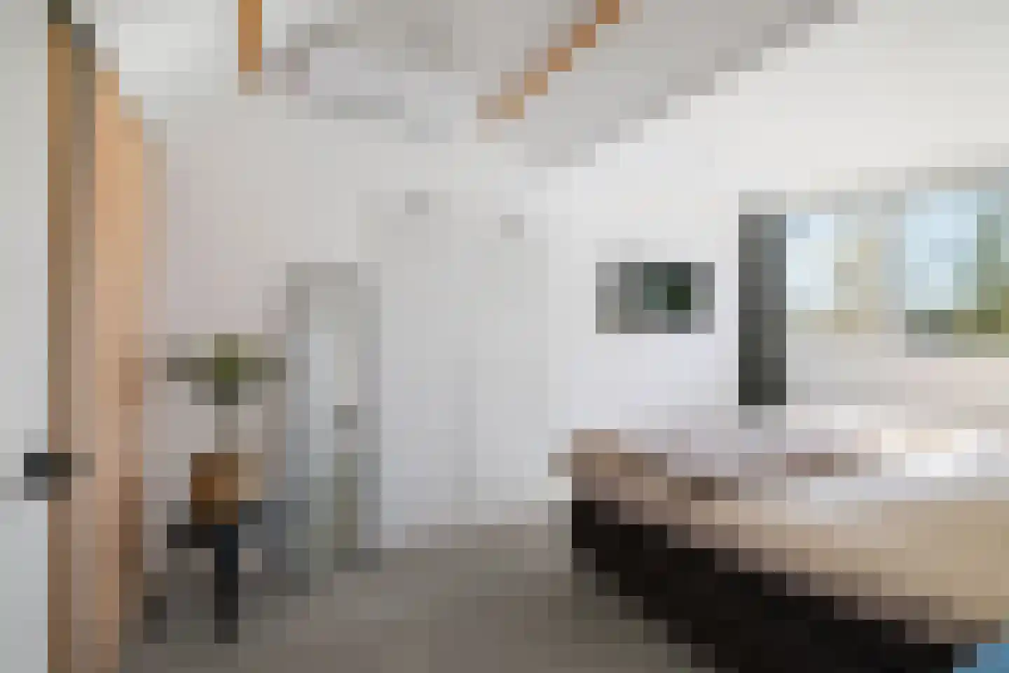 Meerkoet 50 Deventer thumbnail 30