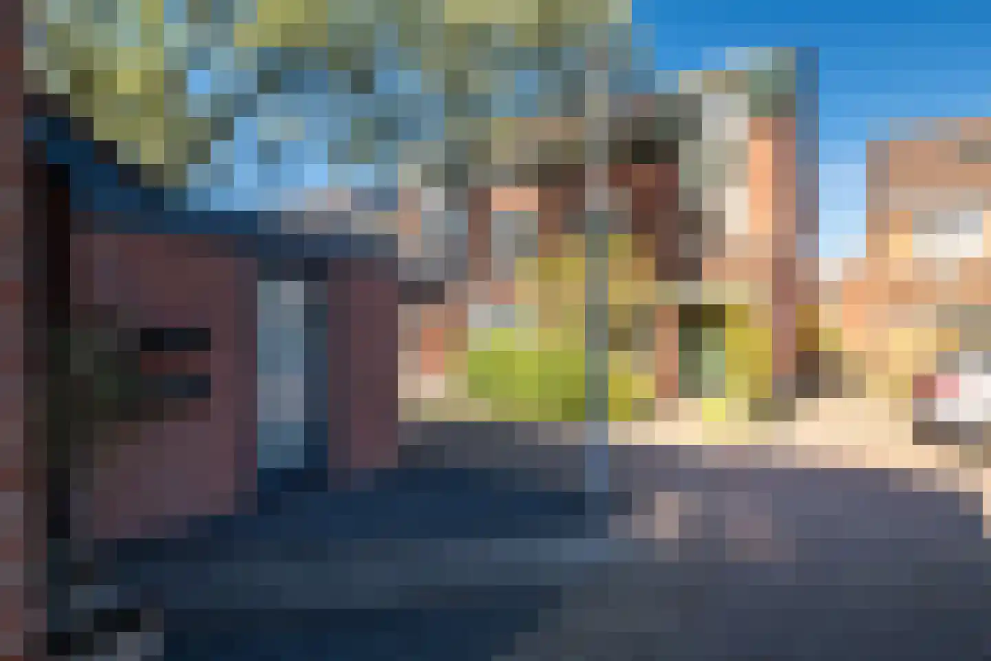 Meerkoet 50 Deventer thumbnail 38