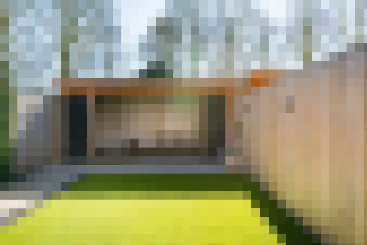 Meerkoet 50 Deventer thumbnail 42