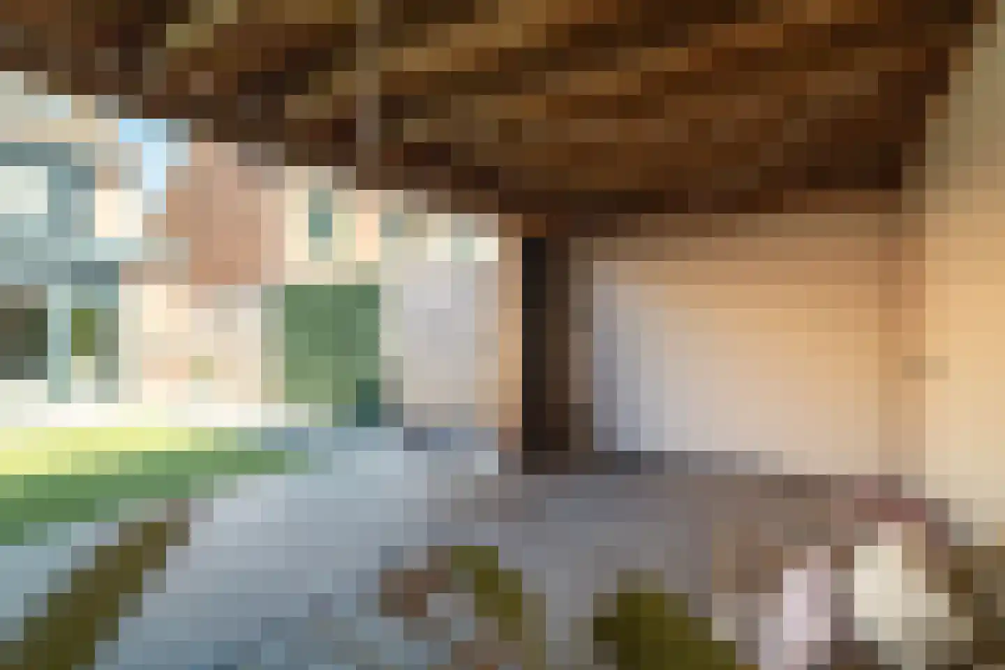 Meerkoet 50 Deventer thumbnail 45