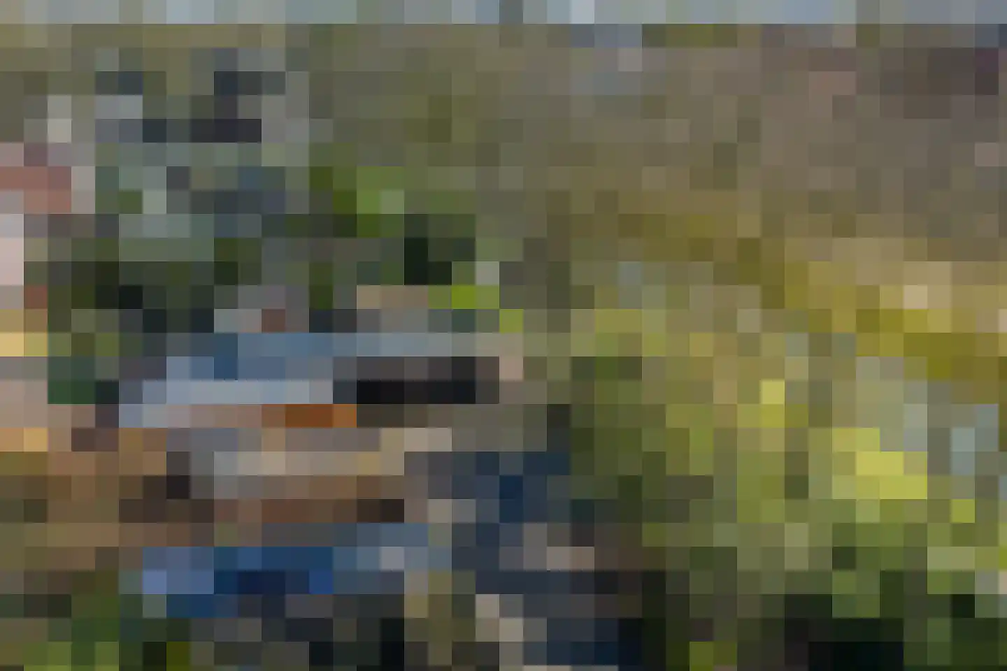 Meerkoet 50 Deventer thumbnail 47