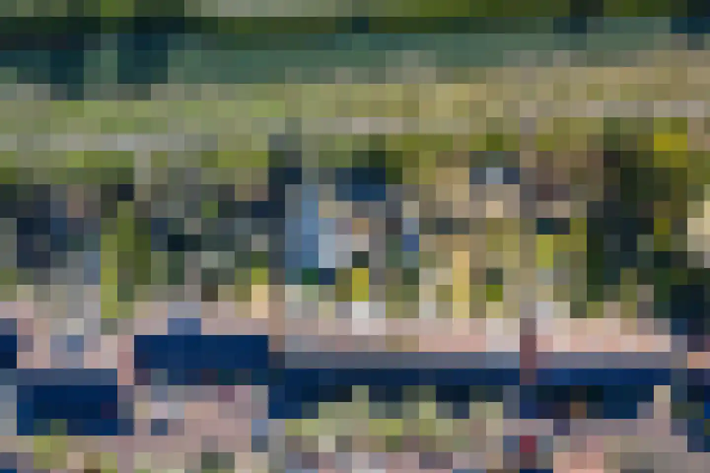 Meerkoet 50 Deventer thumbnail 48