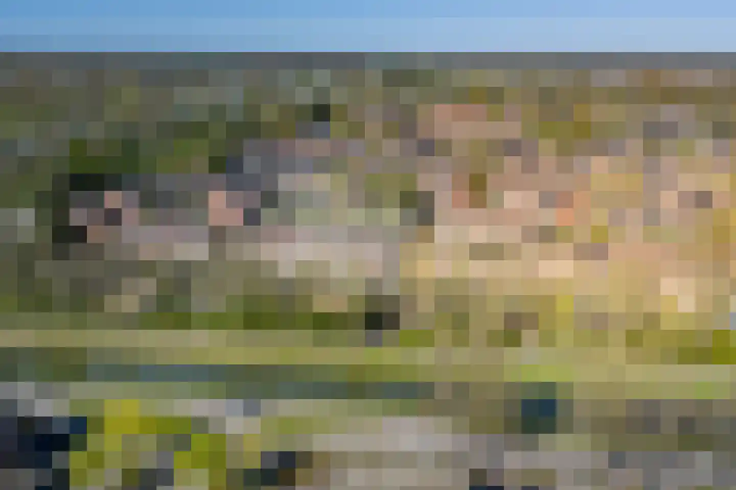 Meerkoet 50 Deventer thumbnail 49