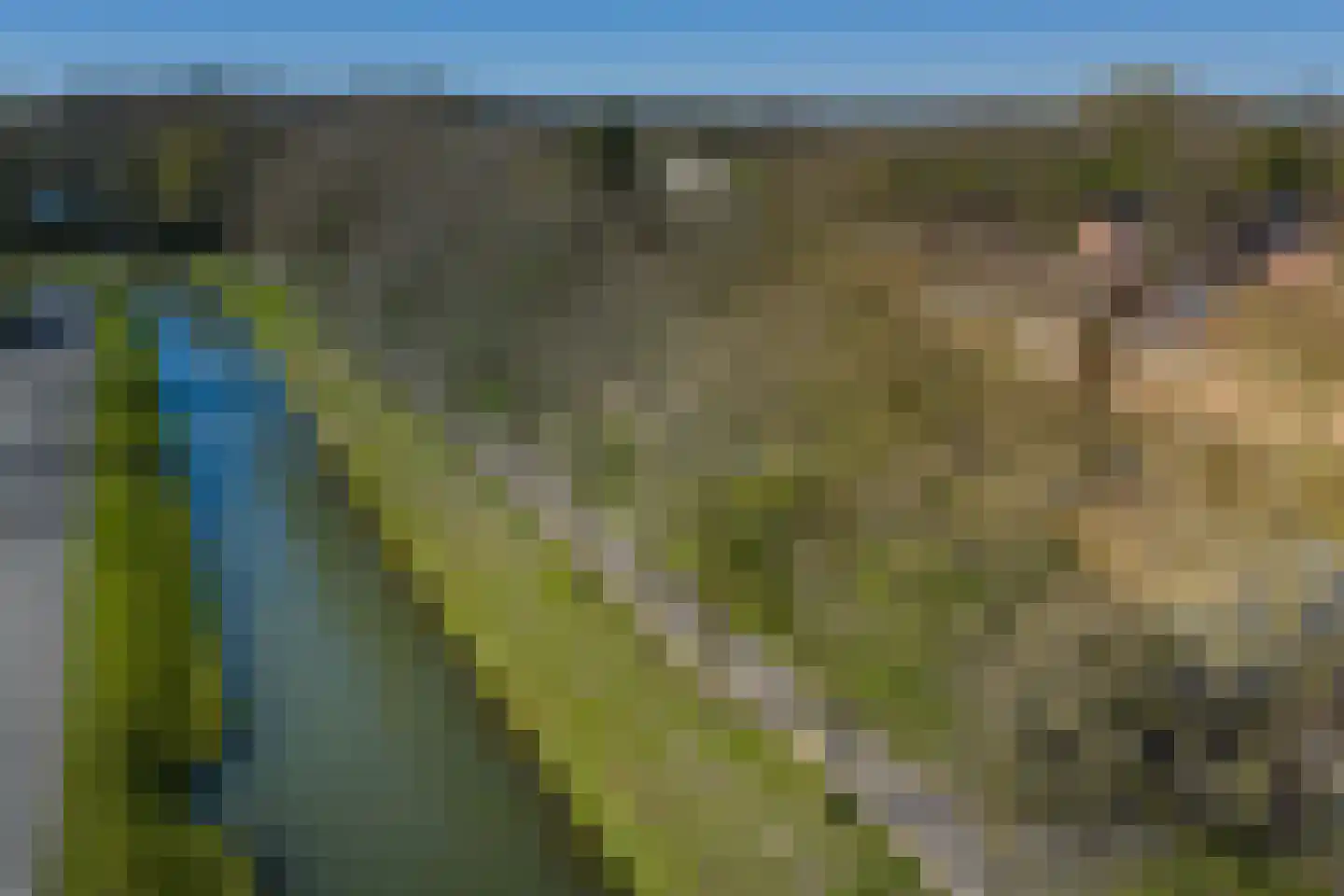 Meerkoet 50 Deventer thumbnail 51